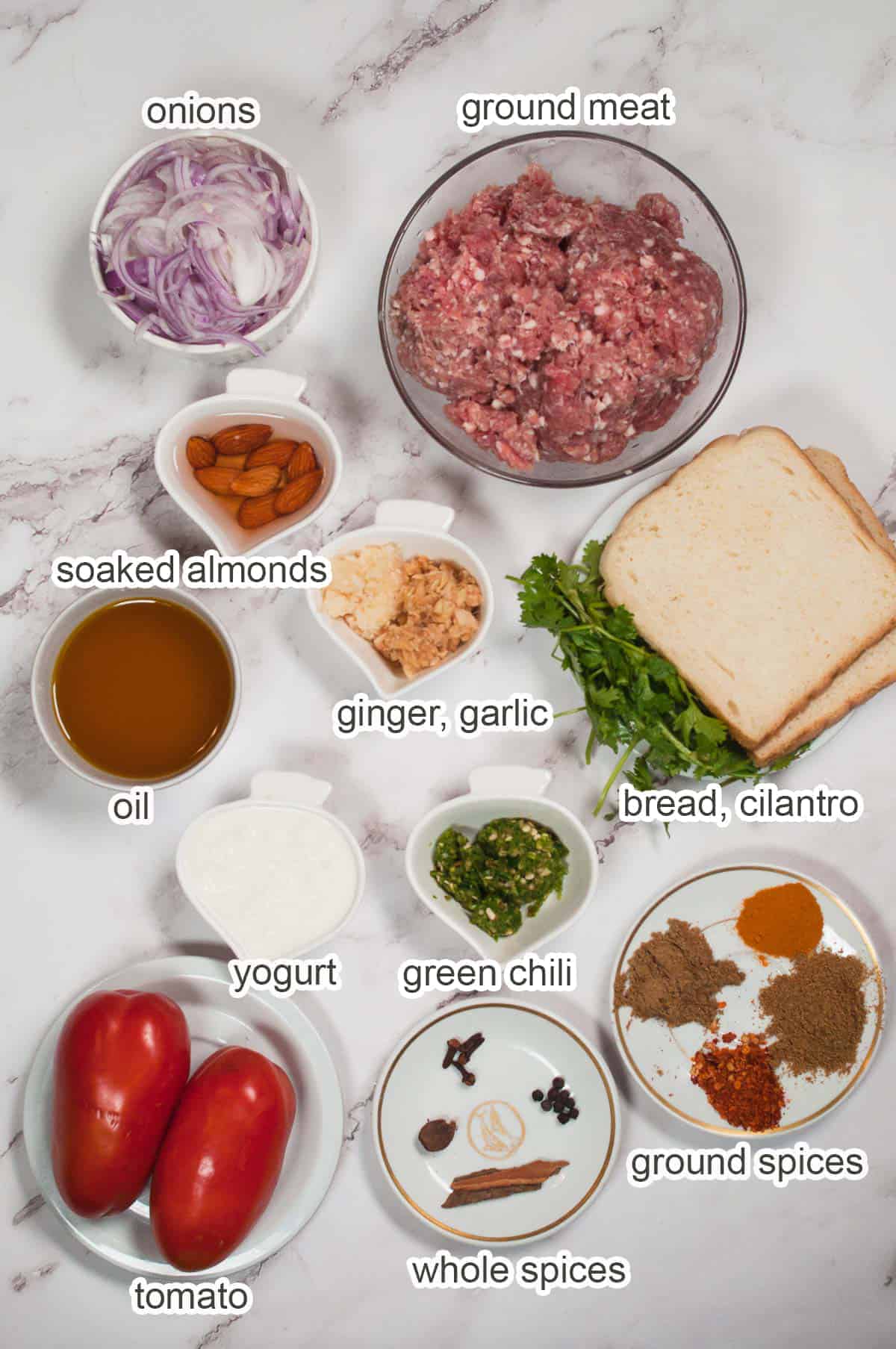 Ingredients of Kofta curry on the white marble.