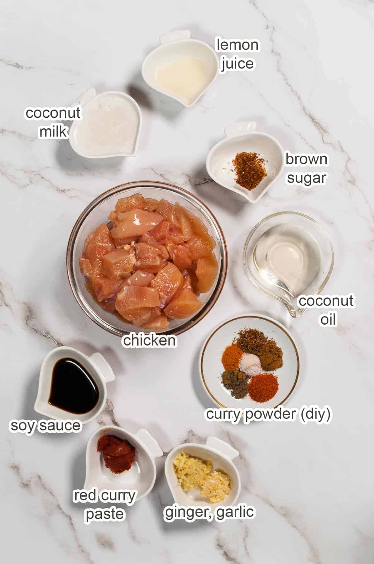 Ingredients of chicken satay.