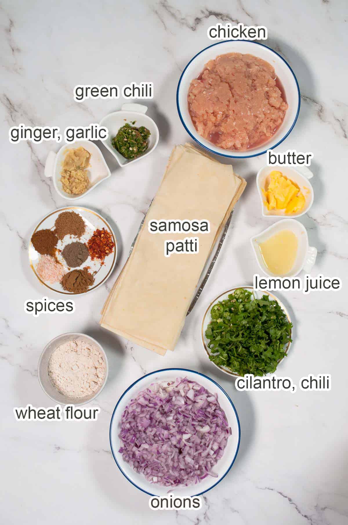Ingredients of chicken samosa on the white background.