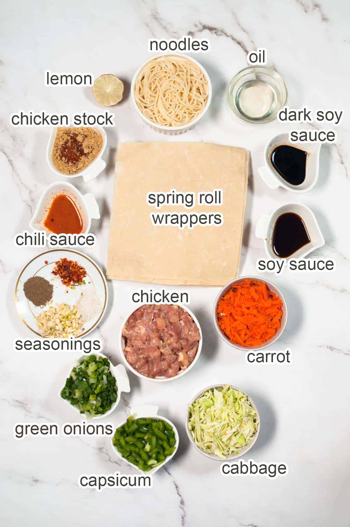 Ingredients of chicken egg rolls on the white marble background.