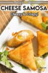 Cheese samosas on a platter.