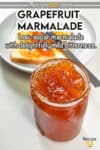 Grapefruit Marmalade served in a glass jar. - 1